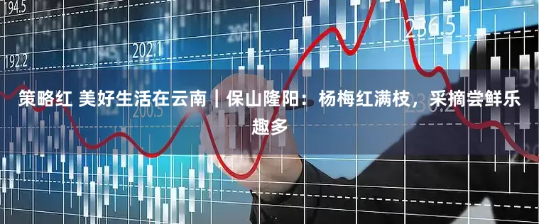 策略红 美好生活在云南｜保山隆阳：杨梅红满枝，采摘尝鲜乐趣多