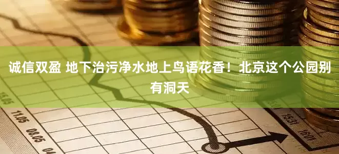 诚信双盈 地下治污净水地上鸟语花香！北京这个公园别有洞天