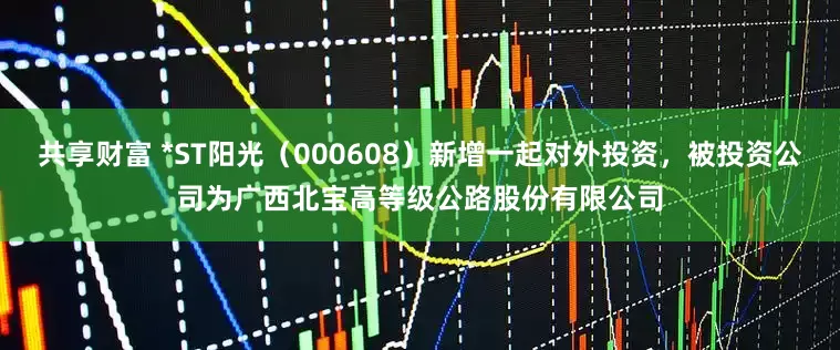 共享财富 *ST阳光（000608）新增一起对外投资，被投资公司为广西北宝高等级公路股份有限公司