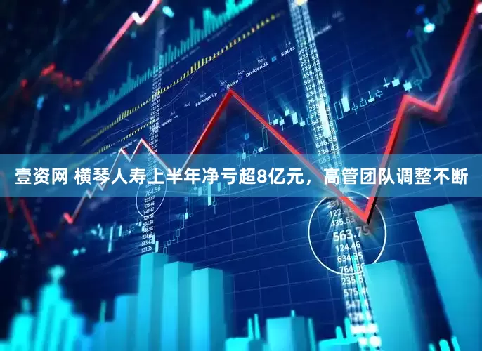 壹资网 横琴人寿上半年净亏超8亿元，高管团队调整不断