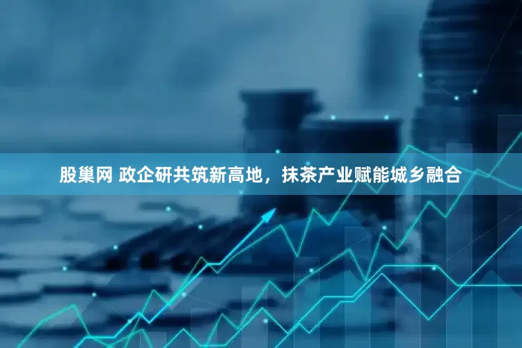 股巢网 政企研共筑新高地，抹茶产业赋能城乡融合