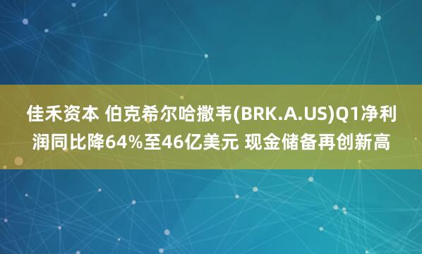 佳禾资本 伯克希尔哈撒韦(BRK.A.US)Q1净利润同比降64%至46亿美元 现金储备再创新高