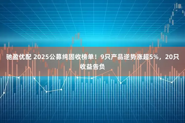 驰盈优配 2025公募纯固收榜单！9只产品逆势涨超5%，20只收益告负